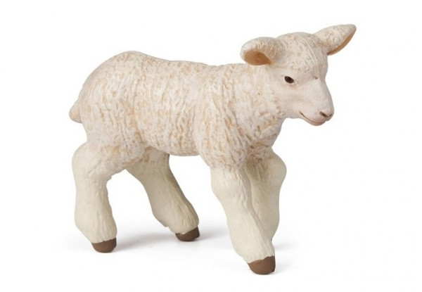 AGNEAU