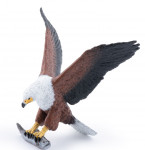 AIGLE PECHEUR D'AFRIQUE