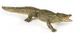 ALLIGATOR