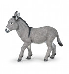 ANE DE PROVENCE