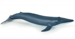 BEBE BALEINE BLEUE