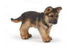 CHIOT BERGER ALLEMAND