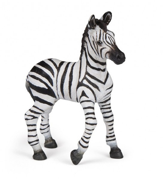 BEBE ZEBRE