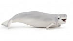 BELUGA