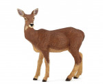 BICHE