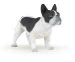 BOULEDOGUE FRANCAIS NOIR ET BLANC