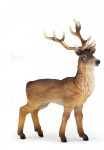 CERF