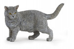 Chiens/chats