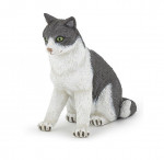 CHATTE ASSISE