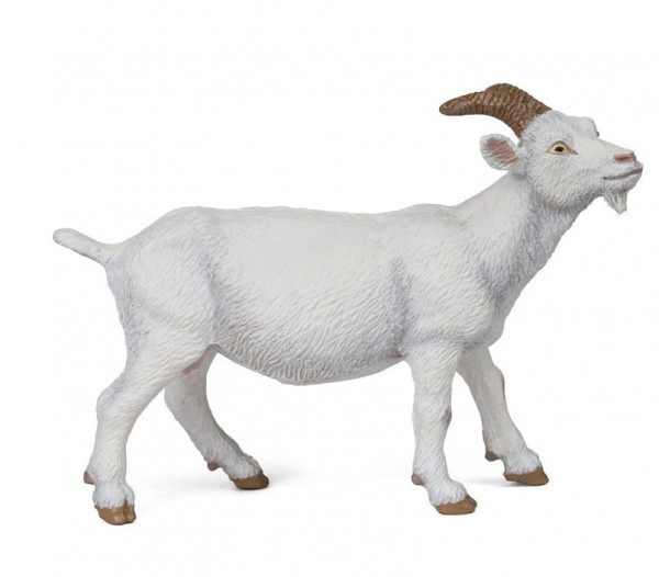 CHÈVRE BLANCHE