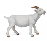 CHÈVRE BLANCHE
