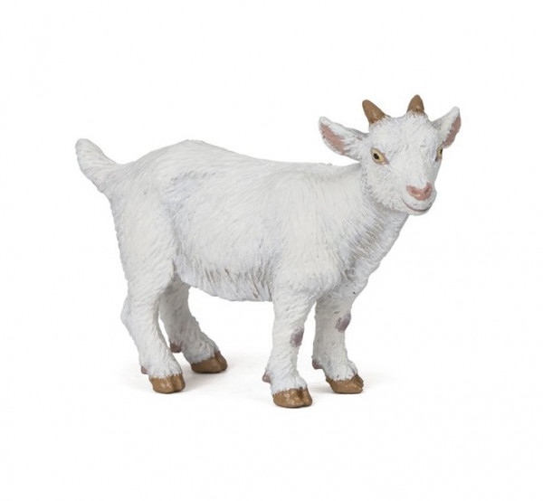 CHEVREAU BLANC