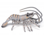 CREVETTE