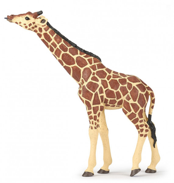 GIRAFE TETE LEVEE