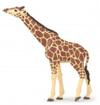 GIRAFE TETE LEVEE