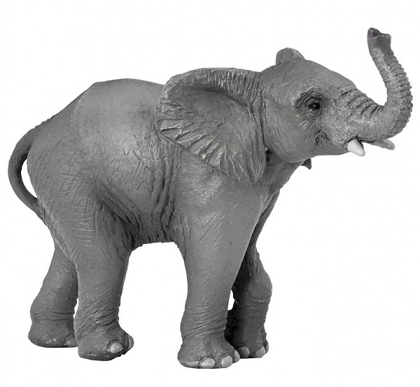 JEUNE ELEPHANT