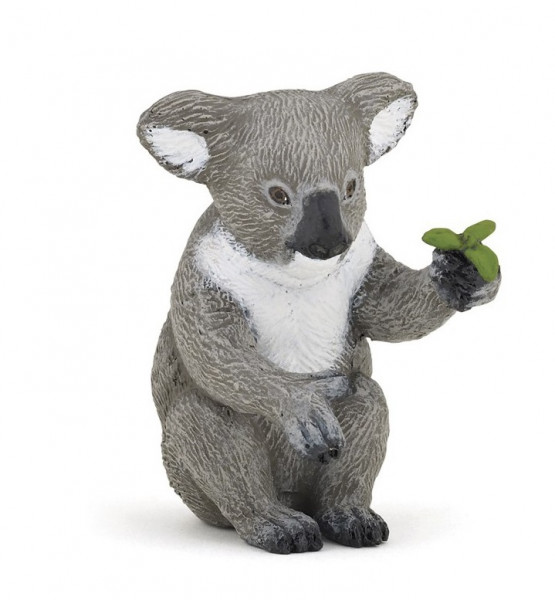 KOALA