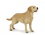 LABRADOR