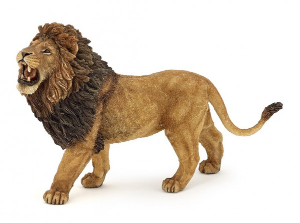 LION RUGISSANT