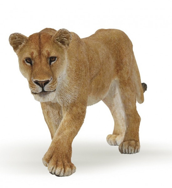 LIONNE
