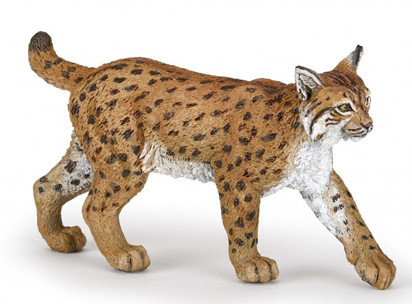 LYNX