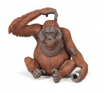 ORANG-OUTAN