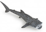 REQUIN BALEINE