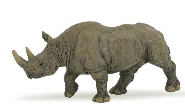 RHINOCEROS NOIR