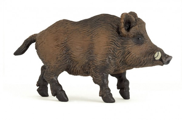 SANGLIER