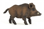 SANGLIER