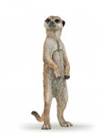 SURICATE DEBOUT