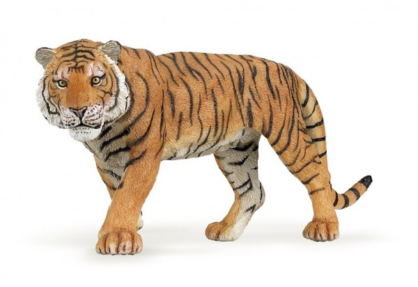 TIGRE