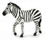 ZEBRE MALE