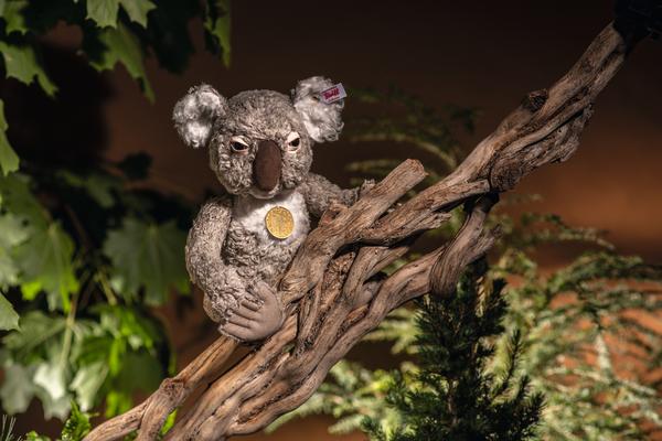 STEIFF - KOALA XANDER