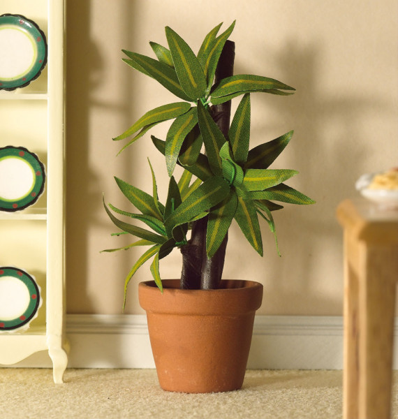 PLANTE VERTE DANS POT