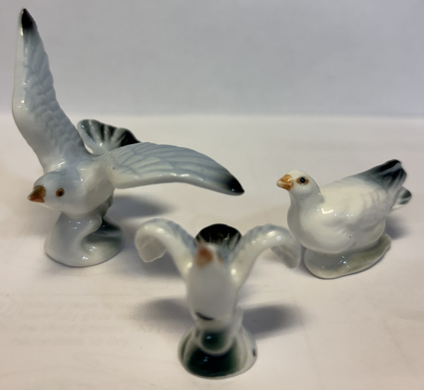 FAMILLE DE MOUETTE